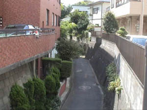 菊名川ウォーク