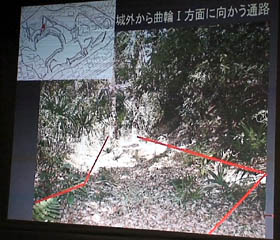 DSC00317.jpg